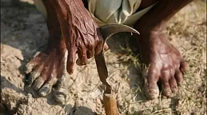 महाराष्ट्रः मराठवाड़ा में जनवरी से जून तक 520 किसानों ने आत्महत्या की, राजस्व विभाग की रिपोर्ट से सरकार घिरी