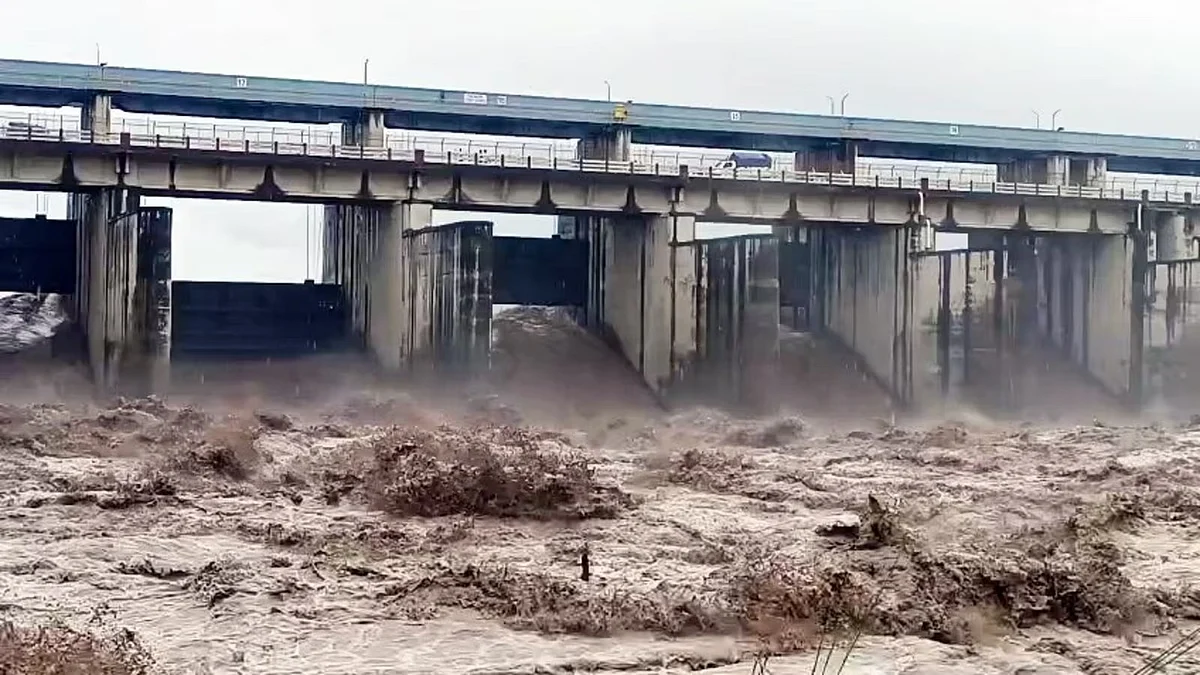 फोटो: सोशल मीडिया