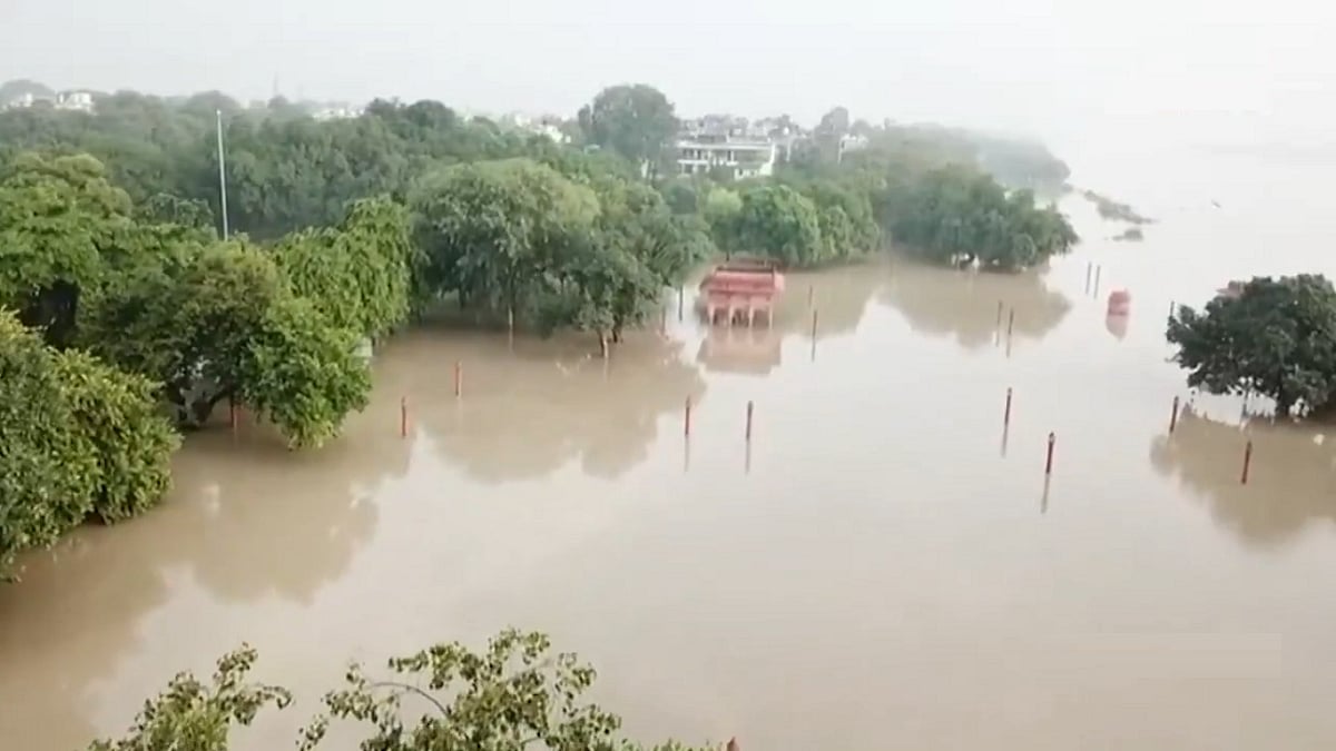 फोटो: सोशल मीडिया