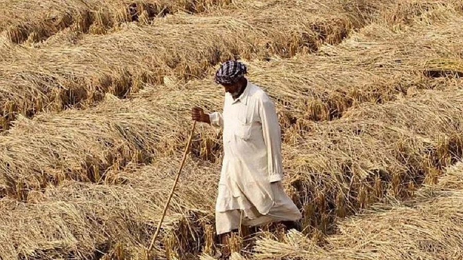फाइल फोटोः सोशल मीडिया