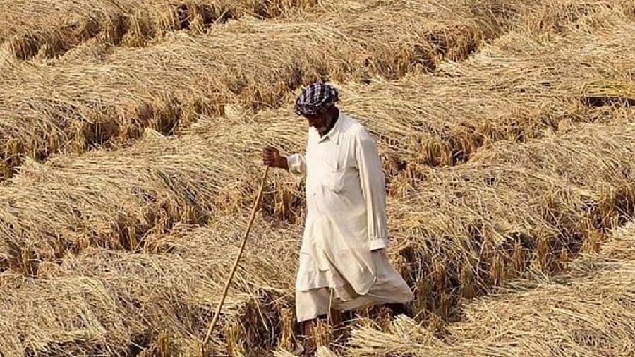 फाइल फोटोः सोशल मीडिया