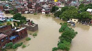 फोटो: सोशल मीडिया