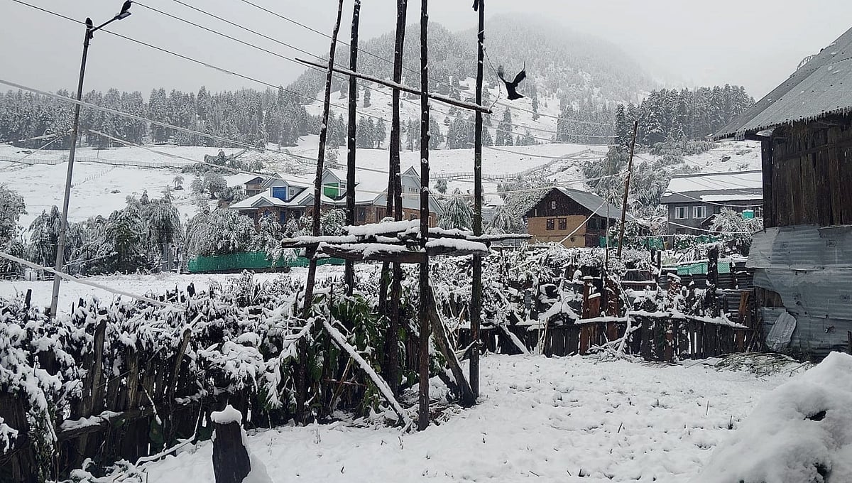 कश्मीर के ऊंचाई वाले इलाकों में ताजा बर्फबारी, मैदानी इलाकों में भारी बारिश