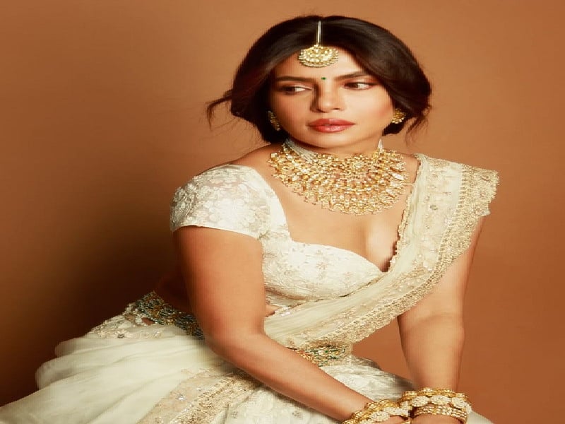 सिनेजीवन: हॉलीवुड में कुछ बड़ा करना चाहती हैं प्रियंका चोपड़ा और बॉर्डर-2 से सामने आया दिलजीत दोसांझ का पहला लुक