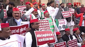 यूपी विधानसभा परिसर में समाजवादी पार्टी का प्रदर्शन, कोडीन कफ सिरप मामले में सरकार पर लगाए आरोप