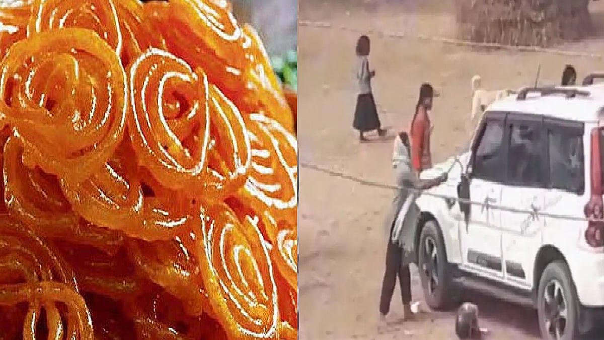 फोटो: सोशल मीडिया