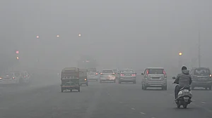 फोटो: सोशल मीडिया