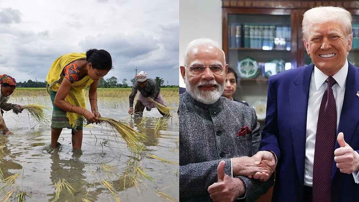 भारत-अमेरिका टैरिफ डील भारतीय कृषि के लिए नई चिंता, समझौते का ब्योरा साफ न होने से बढ़ी बेचैनी