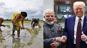 भारत-अमेरिका टैरिफ डील भारतीय कृषि के लिए नई चिंता, समझौते का ब्योरा साफ न होने से बढ़ी बेचैनी