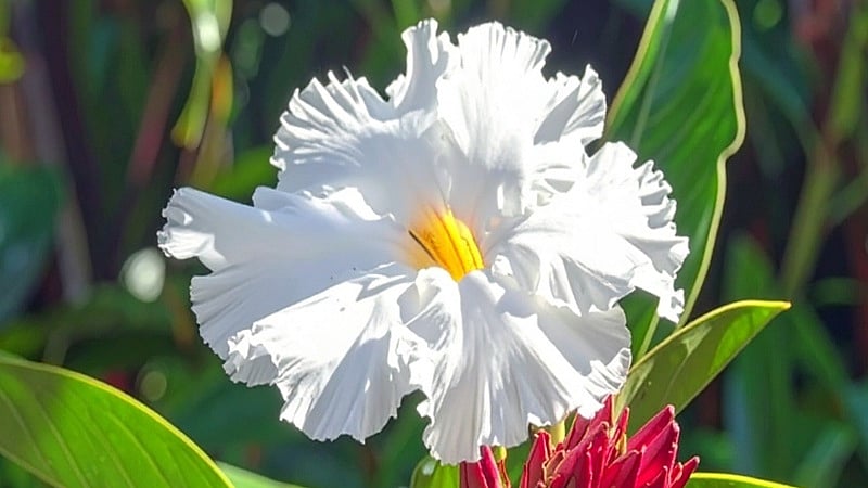 फोटो: IANS