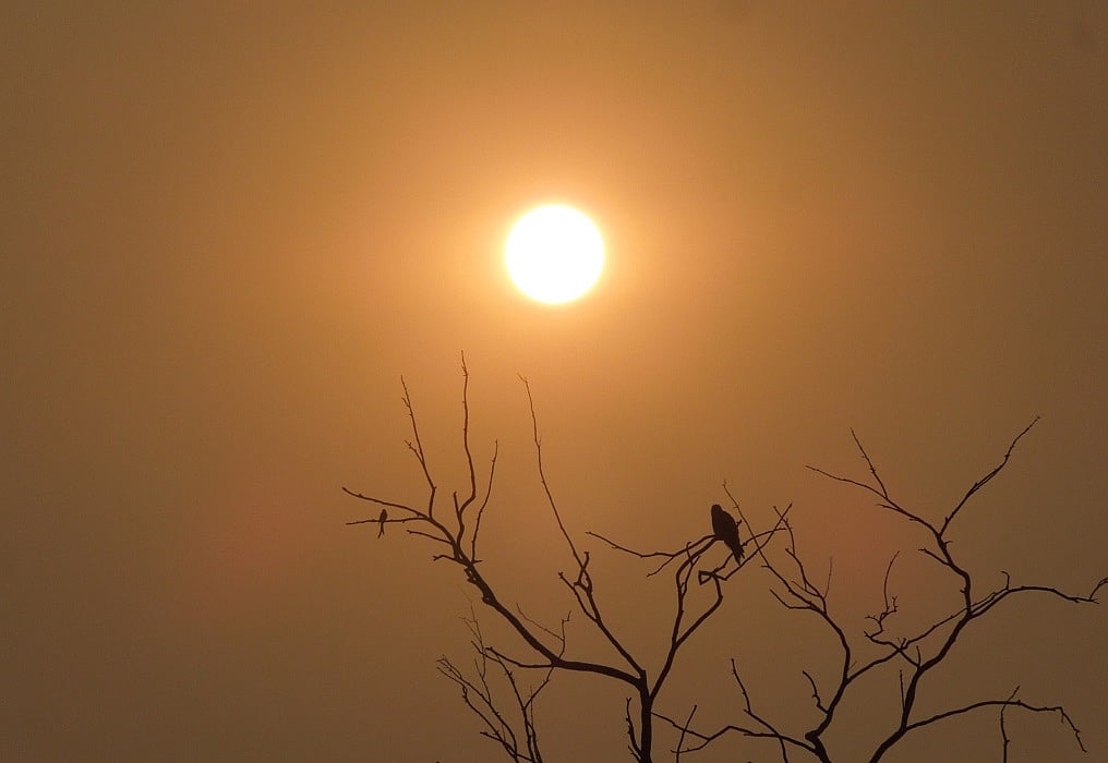 तेजी से बढ़ता तापमान अब 'न्यू नॉर्मल' है, सरकार विकास के नाम पर सब बर्बाद करने पर आमादा 