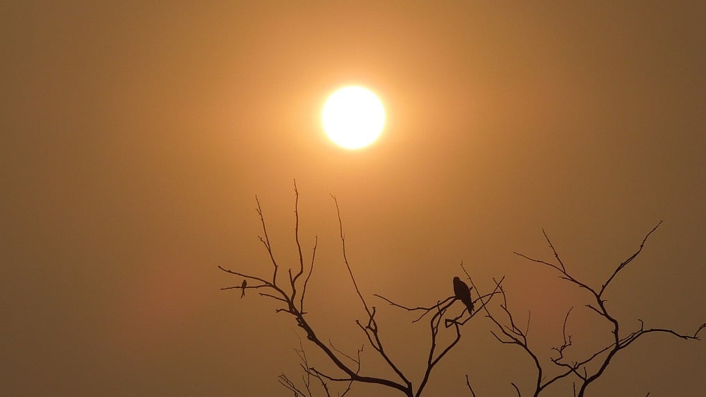 तेजी से बढ़ता तापमान अब 'न्यू नॉर्मल' है, सरकार विकास के नाम पर सब बर्बाद करने पर आमादा