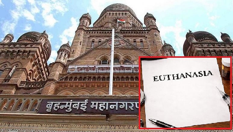 हरीश राणा के बाद इच्छामृत्यु मांगने वालों का लगा तांता, बीएमसी को मिले 75 एप्लिकेशन 