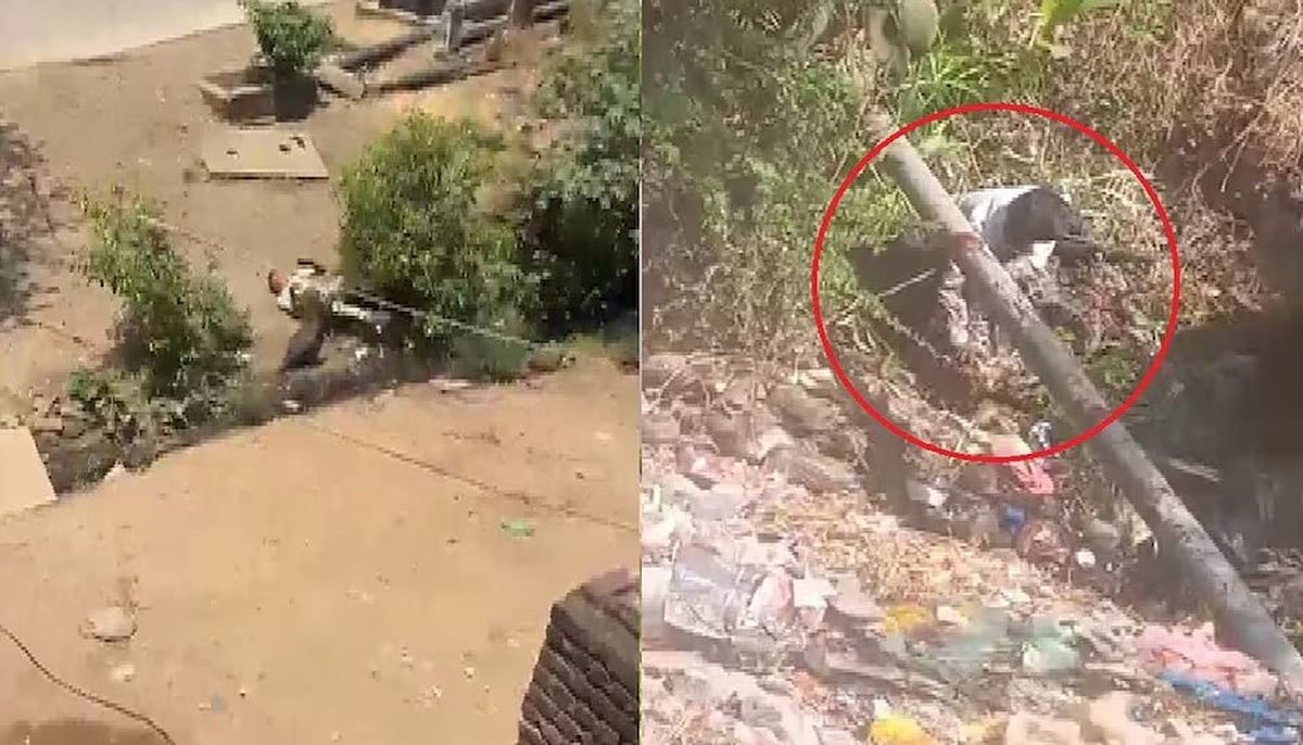 फोटो: सोशल मीडिया