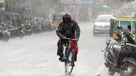 फोटो: सोशल मीडिया