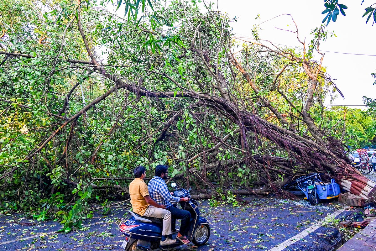 देश के 15 राज्यों में बारिश और तूफान का अलर्ट