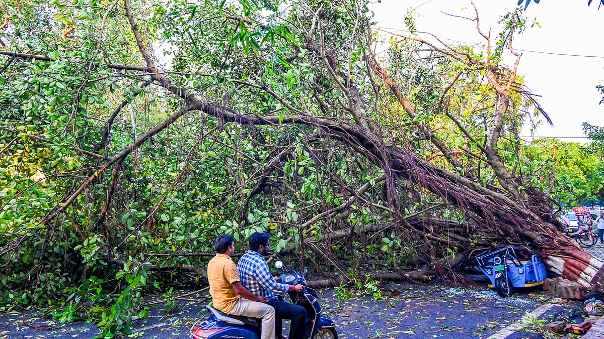देश के 15 राज्यों में बारिश और तूफान का अलर्ट