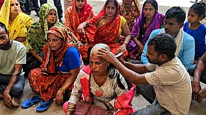 फोटो: सोशल मीडिया