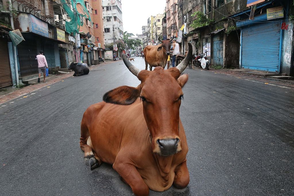 फोटो: Getty Images