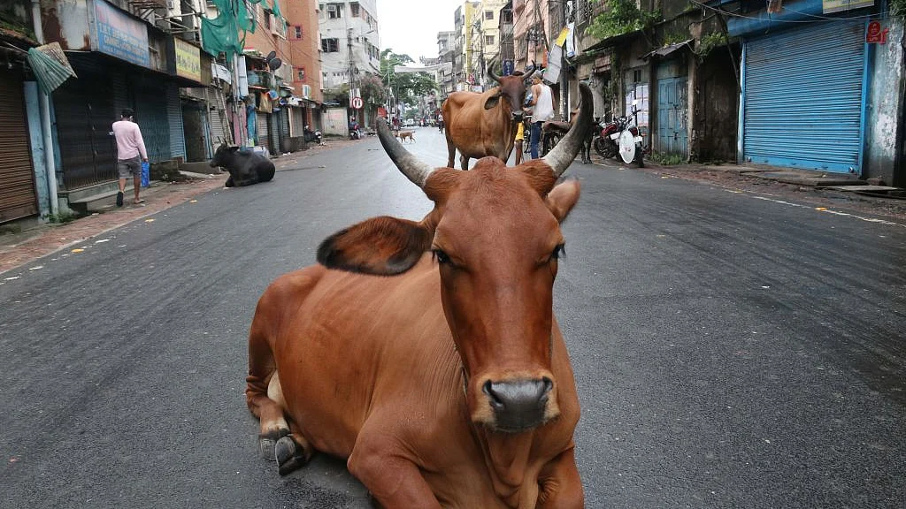 फोटो: Getty Images