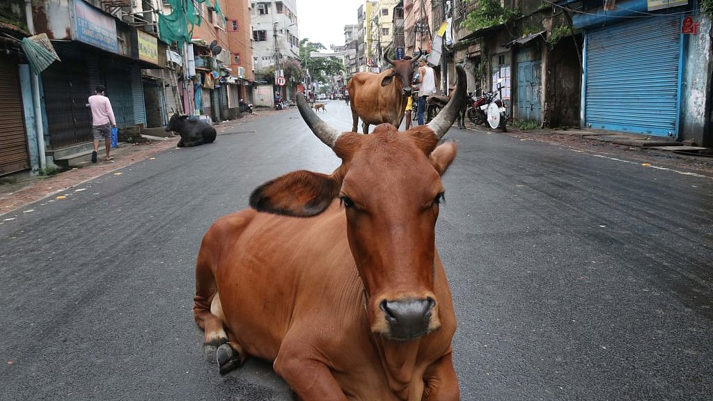 फोटो: Getty Images