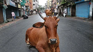 फोटो: Getty Images