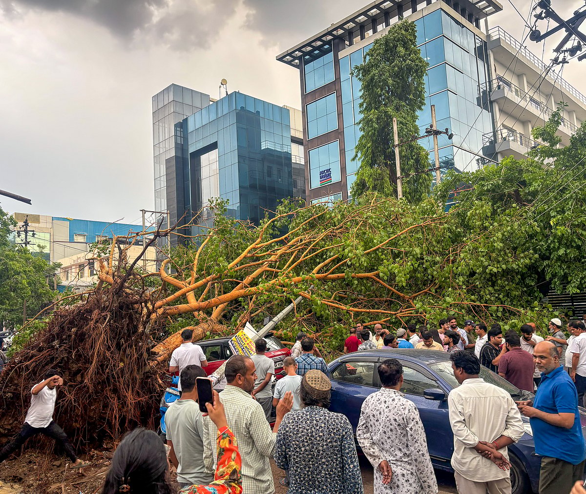 दिल्ली-NCR में तेज आंधी-तूफान और झमाझम बारिश से मौसम सुहावना, जलभराव और गिरे पेड़ों ने बढ़ाई परेशानी
