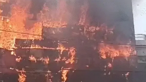 फोटो: सोशल मीडिया 