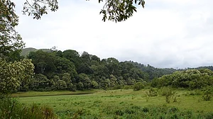 अधौरा के आदिवासियों का जंगल किसने छीना?