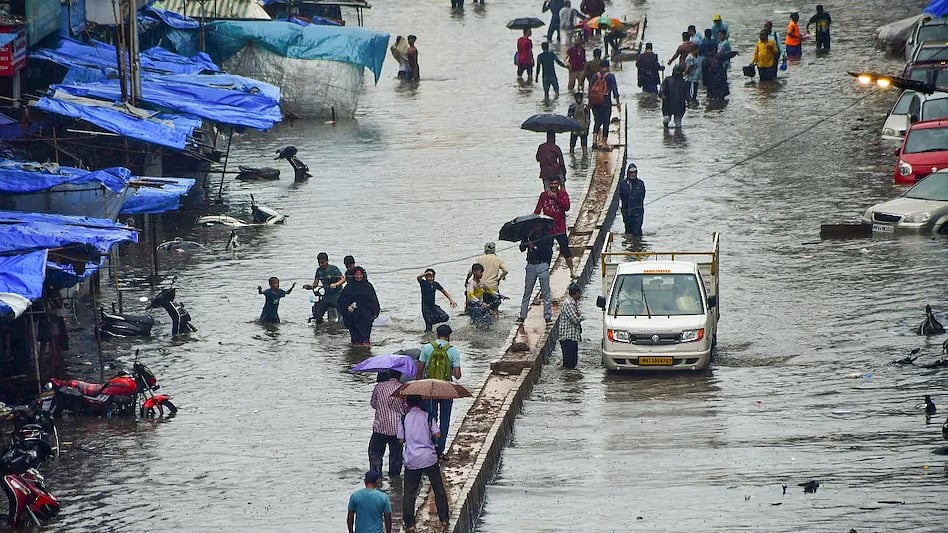 फोटो: सोशल मीडिया