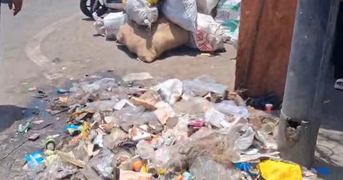 राजस्थान के कई शहरों में कूड़े के ढेर लगे, सफाई कर्मचारियों की हड़ताल तीसरे दिन भी जारी
