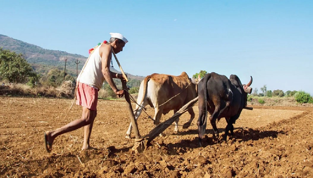 महाराष्ट्रः कर्ज माफी के चक्रव्यूह में उलझा किसान, एक बार फिर सरकार की योजना से असमंजस में अन्नदाता