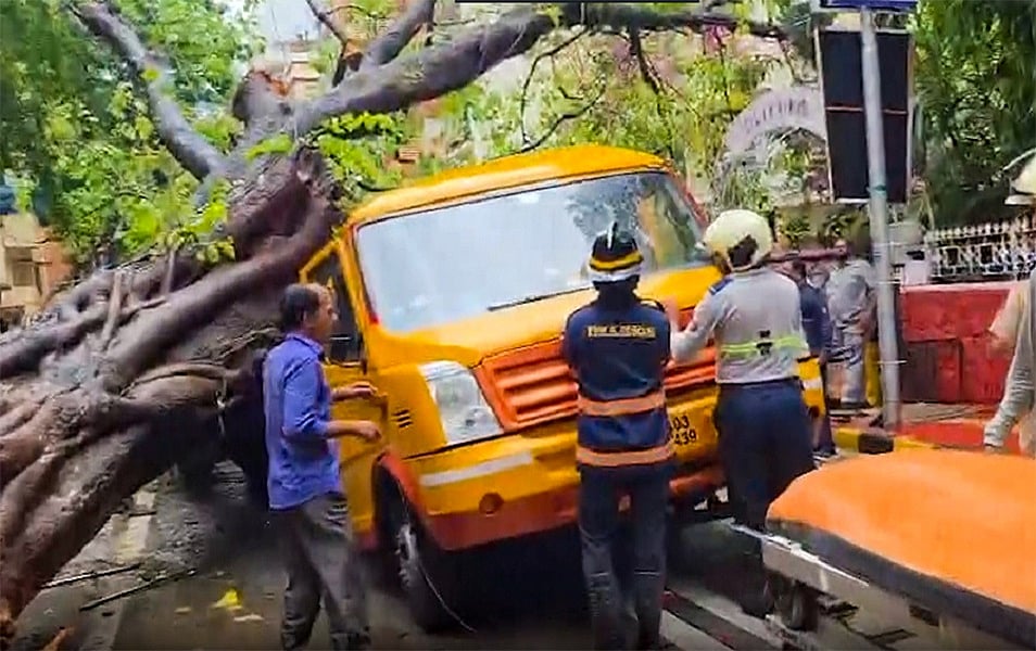 मुंबई के चेंबूर इलाके में बारिश के बीच स्कूल बस पर पेड़ गिरा, एक छात्र की मौत, चार बच्चे घायल