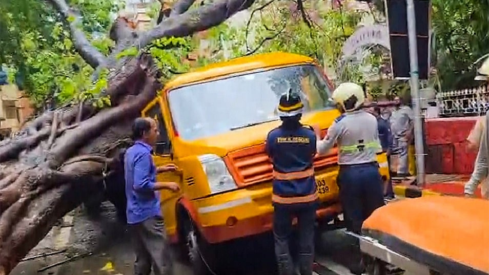मुंबई के चेंबूर इलाके में बारिश के बीच स्कूल बस पर पेड़ गिरा, एक छात्र की मौत, चार बच्चे घायल