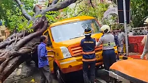 मुंबई के चेंबूर इलाके में बारिश के बीच स्कूल बस पर पेड़ गिरा, एक छात्र की मौत, चार बच्चे घायल