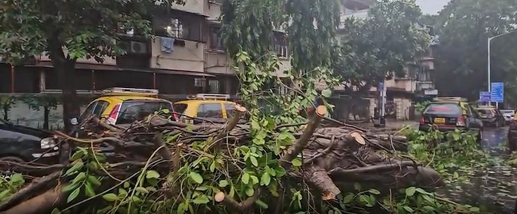 महाराष्ट्र में बारिश से बुरा हाल, मुंबई-पुणे एक्सप्रेसवे का रास्ता बदला गया, इमरजेंसी नंबर जारी