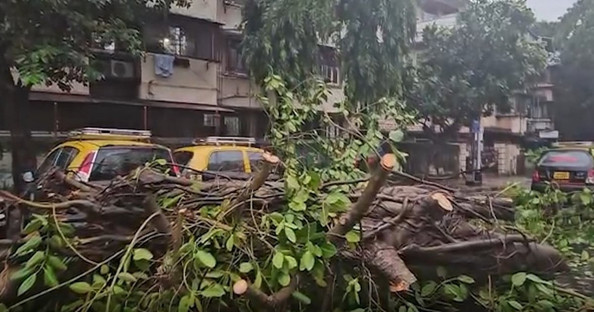 महाराष्ट्र में बारिश से बुरा हाल, मुंबई-पुणे एक्सप्रेसवे का रास्ता बदला गया, इमरजेंसी नंबर जारी