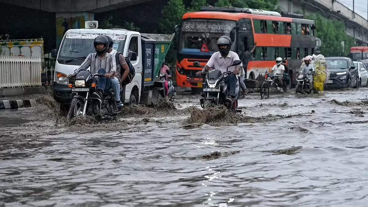 फोटो: सोशल मीडिया
