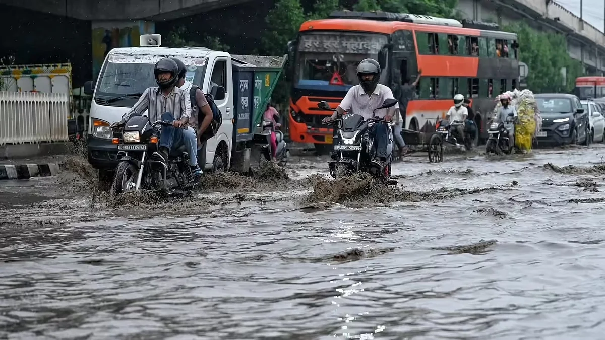 फोटो: सोशल मीडिया