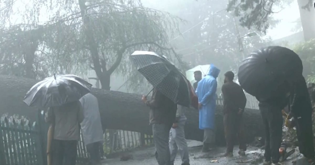 navjivanindia%2F2026-07-10%2Ffiujcb7q%2FHimachal-Rains.jpg?rect=0%2C12%2C956%2C502&w=1200&ar=40%3A21&auto=format%2Ccompress&ogImage=true&mode=crop&enlarge=true&overlay=false&overlay_position=bottom&overlay_width=100