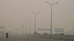 मोदी सरकार पर्यावरण विनाश में वास्तविक विश्वगुरु, हर इंडेक्स में भारत को अंतिम पायदान पर पहुंचाया