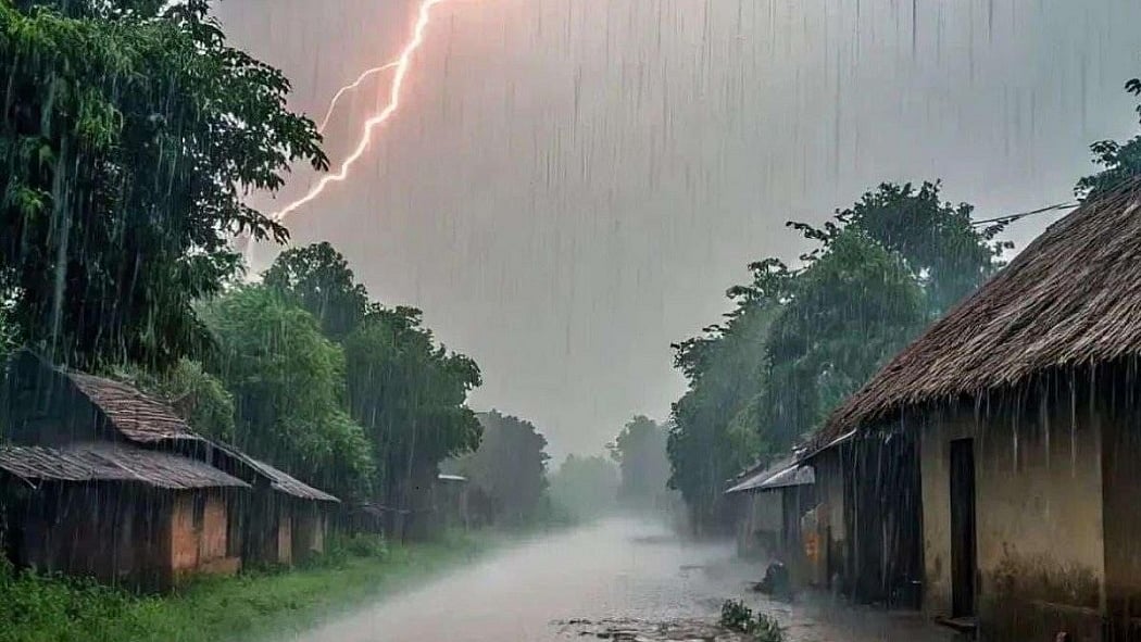 धान का मौसम है, मेहमान का मौसम है