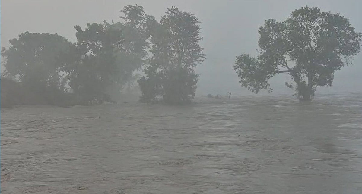 फोटो: सोशल मीडिया