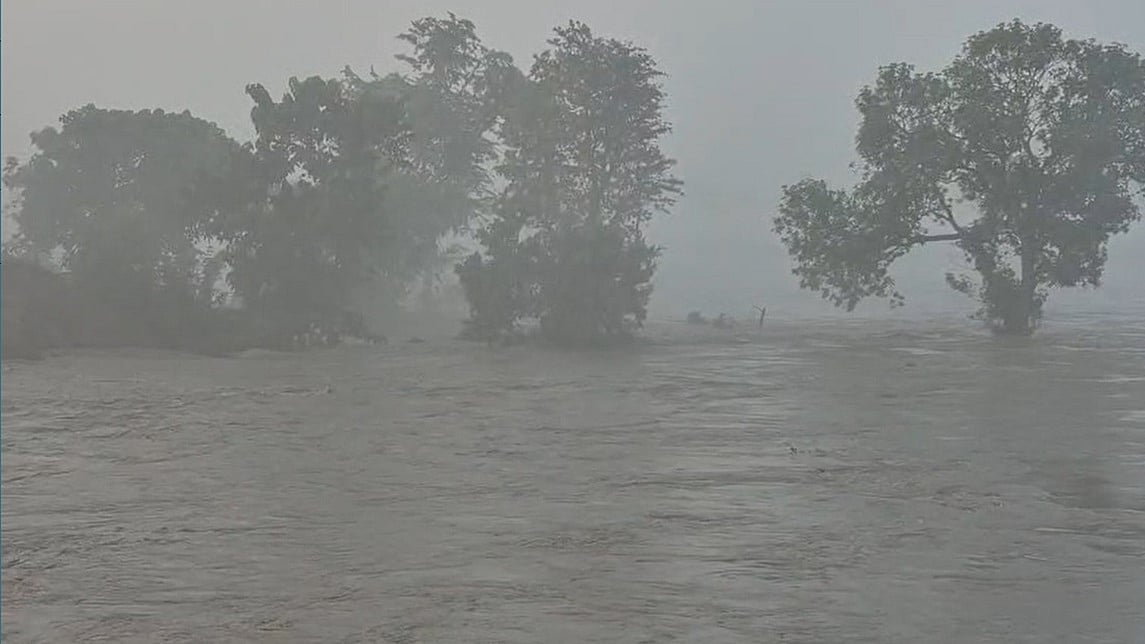 फोटो: सोशल मीडिया