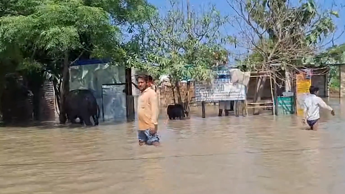 फोटो: सोशल मीडिया