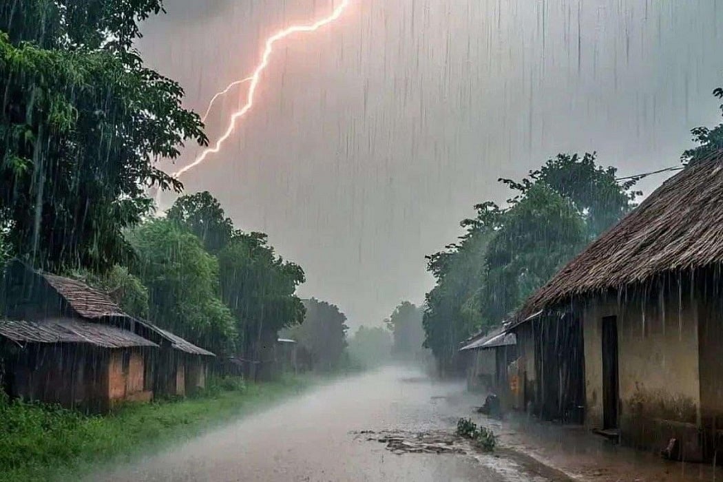 धान का मौसम है, मेहमान का मौसम है