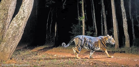 Image  used for representational purposes.