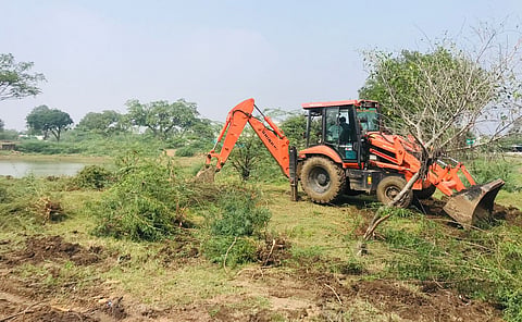 An earthmover removing the seemai karuvelam trees encroaching the lake.