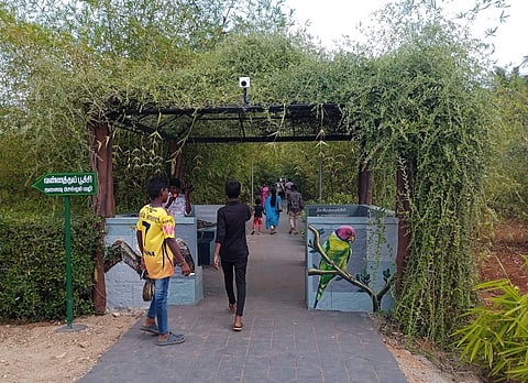 Tirupur: A dedicated Bamboo park was set up and opened for public in Iduvai village in Tiruppur city on Sunday morning.