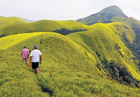 Jenukallu Gudda